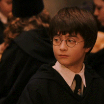 Quiz: quale coppia di Harry Potter siete?