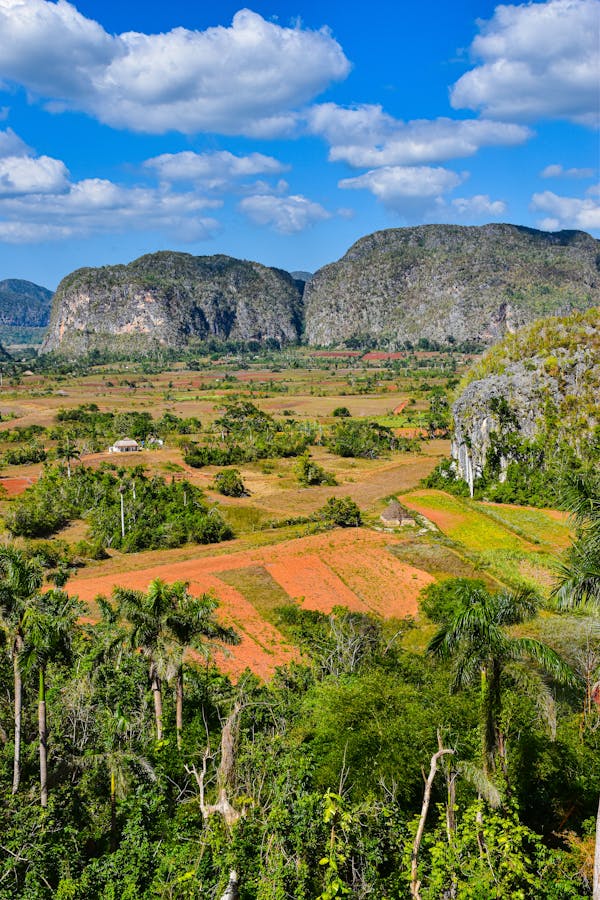 Quiz sulla Sierra Leone: Quanto conosci questo paese africano?